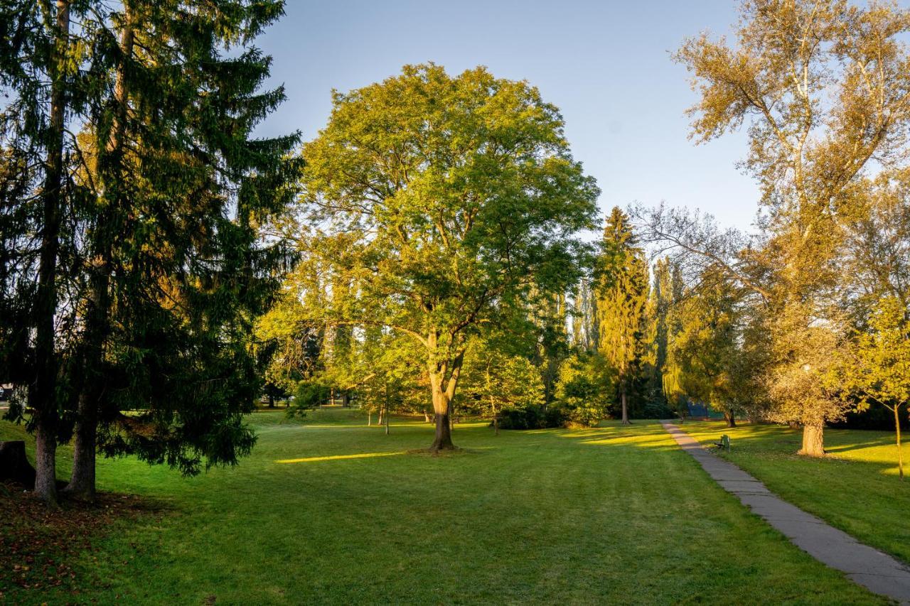 Apartman U Jirika Poděbrady Exteriör bild